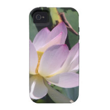 Water Lily Vibe iPhone 4 Cases