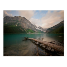 Water Logged Post Cards