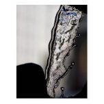 Water Moments Postcards
