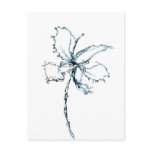Water orchid postcard
