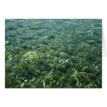Water over Sea Grass Card