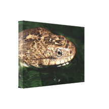 water snake gallery wrapped canvas