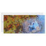 Water splash customized rack card