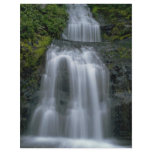 Water Steps Flyer Design