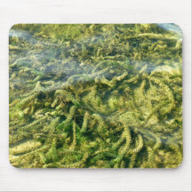 Water weeds under water background mouse pad
