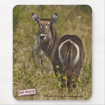 Waterbuck Mousepad