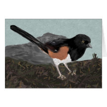 Watercolor Eastern Towhee Note Card