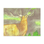 watercolor elk. postcards
