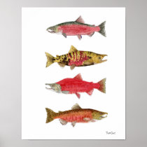 Watercolor Studies of Salmon Posters