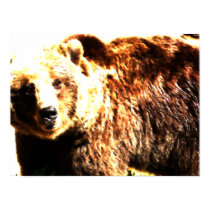 Watercolor Wild Bear Poster posters