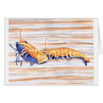 Watercolour of Shrimp on a dock, fishing bait Card