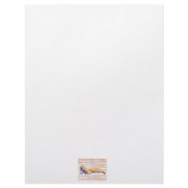 Watercolour of Shrimp on a dock, fishing bait Personalized Letterhead