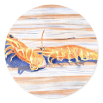 Watercolour of Shrimp on a dock, fishing bait Sticker