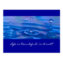 Waterdrops Postcard