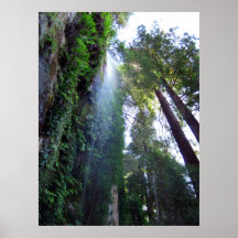 Waterfall and Cliff Print