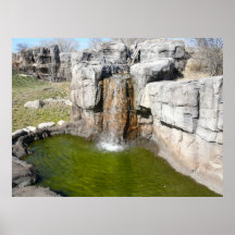 Waterfall and watering pond for zoo Gorillas Posters
