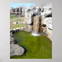 Waterfall and watering pond for zoo Gorillas Posters