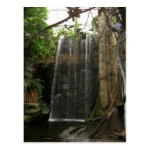 Waterfall at the Zoo Post Cards