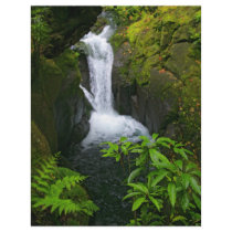 Waterfall Custom Flyer