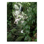 Waterfall In Dominica Postcard