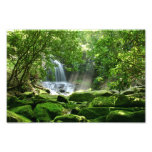 Waterfall in Rain Forest Photo Art