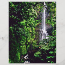 Waterfall In The Jungle Flyer Design