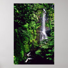 Waterfall In The Jungle Print