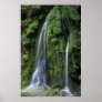 Waterfall - Oakridge, OR Poster