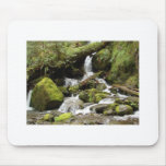 Waterfall on South Shore Road at Lake Quinault Mousepads