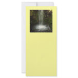 Waterfall Over Mossy Stones rack cards