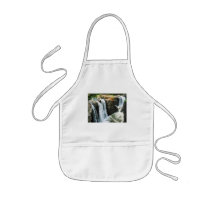 Waterfall Paterson NJ Aprons