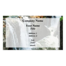 Waterfall Paterson NJ Business Card