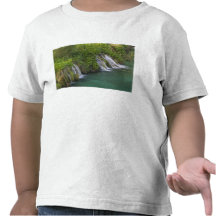 Waterfall, Plitvice Lakes National Park and T Shirt