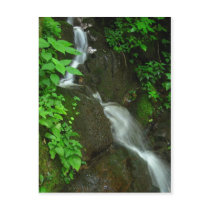 Waterfall Post Card