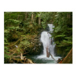 Waterfall postcard