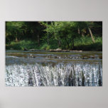 Waterfall Poster
