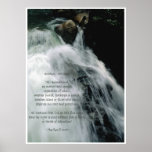 Waterfall Poster & Wildlife Conservation Poem posters