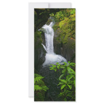 Waterfall Rack Cards