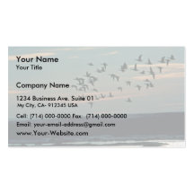 Waterfowl, Arctic National Wildlife Refuge Business Card Template