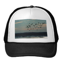 Waterfowl, Arctic National Wildlife Refuge Hat