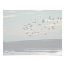 Waterfowl, Arctic National Wildlife Refuge Personalized Invitation