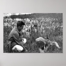 Waterfowl Survey Posters