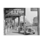 Waterfront in New Orleans. French market Postcard