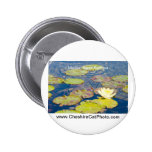 Waterlilies Mission Santa Barbara CA Products Buttons