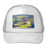 Waterlilies Mission Santa Barbara CA Products Mesh Hat