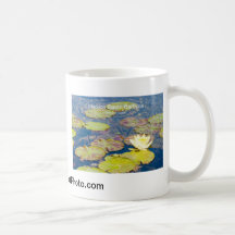 Waterlilies Mission Santa Barbara CA Products Mug
