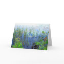 Waterlilies, Sharon CT cards