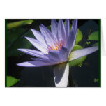 Waterlily Blue Card