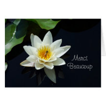 waterlily French thank you Cards