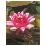 Waterlily letterhead